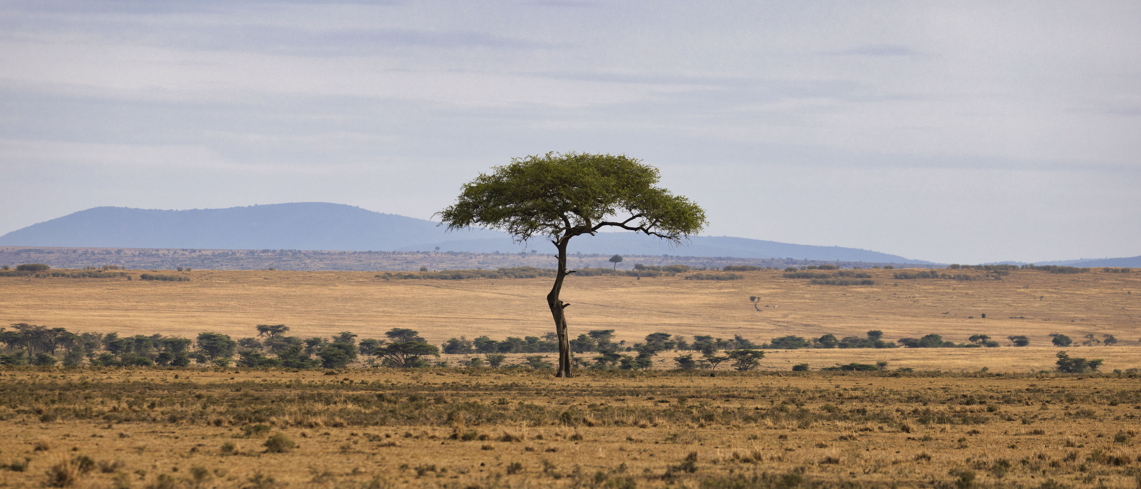 November 13, 2022-075105-Edit.jpg